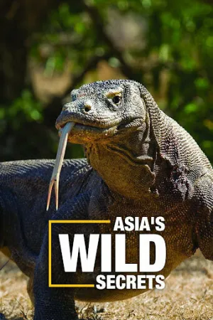 Тайны дикой Азии (сериал 2020)