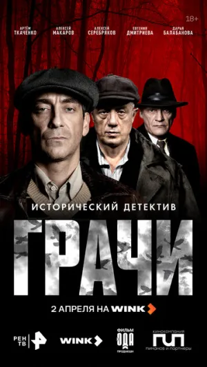Грачи (сериал )